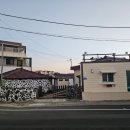 제주바다민박 | 🌊✈️ 제주에서의 가장 따뜻했던 재회, 제주바다올레 숙박 후기