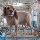 도봉로-3 피플워치