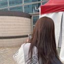 정운투어 이미지