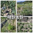 해원농장 이미지