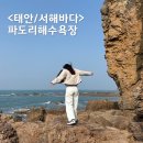 큰말 해수욕장 공중화장실 | 충남 태안 여행 파도리해수욕장 물때 맞춰야 보이는 해식동굴 위치