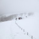 병정목장 Daum카페