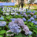 부천로354번길 | 부천 가볼만한곳 :: 수국명소 &lt;도당근린공원 - 수국의 속삭임&gt; 수국동산 위치 주차장 개화현황 장미원
