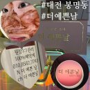 세븐일레븐 대전봉명시티빌점 | 대전 유성 피부관리 유성 윤곽전문 더예쁜날 방문 리얼 변화 후기