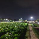 산해식당 이미지