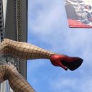 거기조아 이미지