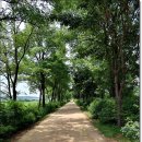 한울공원 이미지