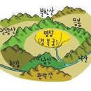 코도