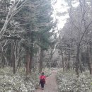 한라산둘레길 돌오름길 이미지