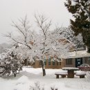 주천면사무소 이미지