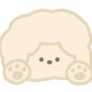 강릉양꼬치