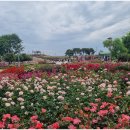 곡성-106 이미지