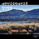 함덕 위드 자쿠지 | 대한민국숙박대전 쿠폰받고 제주도 호텔할인 받기