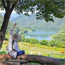 SKY한우농장 이미지