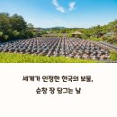 순창전통시장 고추전 | 장 담그는 날 순창 체험 후기