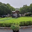 안성약용식물실용화영농조합 | 대구 앞산자락길(대구청소년수련원 ~달비골) 등산
