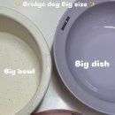 커들리 독 이미지