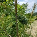 남진농장 이미지