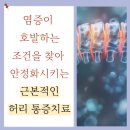 건보당한의원 | 역삼역 허리통증 허리디스크 좌골신경통 추나치료 보험 적용까지-앤한의원