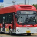 별망초앞 이미지