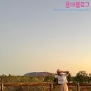 율라움 | [호주 / 울룰루] 아웃백 롯지 전망대 일몰 명소, Kylata academy cafe, Uluru Shop 기념품