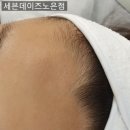 세븐노은 이미지