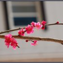 석우초등학교 이미지