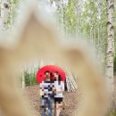 나무안에서 | 인제 원대리 속삭이는 자작나무숲 날씨 복장 방문 후기