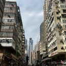 Cafe ABA (카페아바) | [홍콩] 미드레벨·소호거리·익청빌딩 | 에그타르트, 맛집 후기 총정리