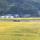 신월운동장 이미지