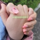 네일꽃이피었습니다