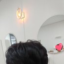 바비헤어 이미지