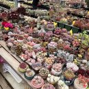 정이농장 이미지