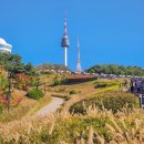 공도도서관 앞 공원 | 백범공원 산책 &amp; 남산타워 후기