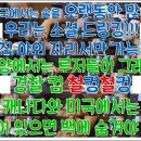 간에 좋은 음식 굴추출분말 알아보기 ＜ GGT, AST, ALT 수치 감소＞ 이미지