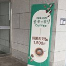 숲속의요정 이미지