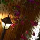 한옥마을 화장실 이미지