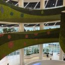 신월7동도서방 (신월7동주민센터 2층) | 수원 광교 경기도서관 방문 및 솔직 이용 후기