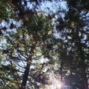 성불주차장 이미지