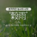곡우(穀雨), 봄의 마지막을 장식하는 풍요로운 절기 이미지
