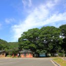 지에스25 장흥대덕점 | 장흥군 - 장흥 보림사 목조사천왕상