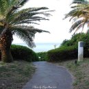 샤인빌리조트(SHINE VILLE RESORT) 이미지