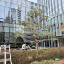 상장회사회관 이미지