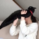 터알 이미지