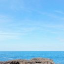 유한회사 제주의소리 | 제주 도시락 단체 주문 가능한 제쭈 시청점 포장 후기