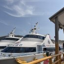 장승로 | 외도 보타니아 배시간 가는법 총정리 (장승포 유람선 후기, 주차, 예약 꿀팁)