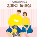 눈이튼튼 동물병원 네이버블로그