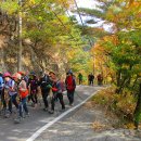 상대농장 이미지