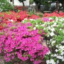 손불면사무소 이미지