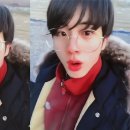석진농장 Daum카페